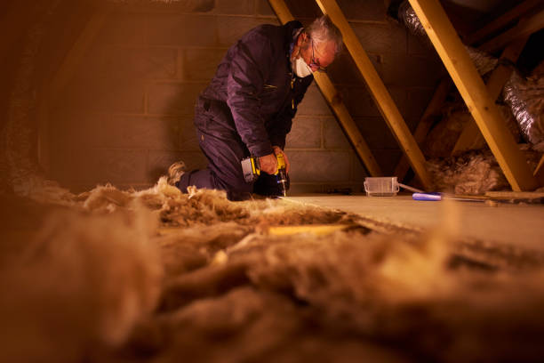 Best Insulation Replacement Services  in Tuolumne City, CA