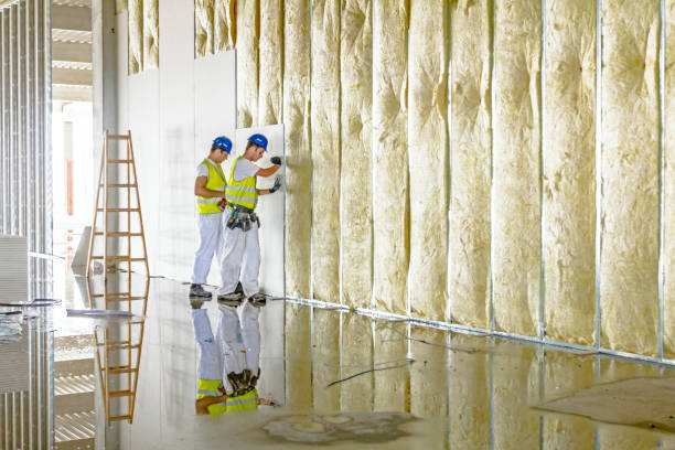 Professional Insulation Contractor in Tuolumne City, CA